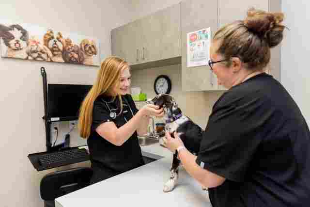 Image from Action Photos album