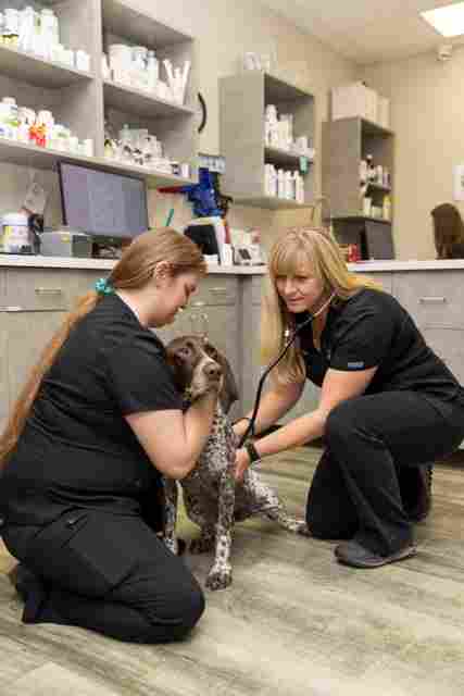 Image from Action Photos album