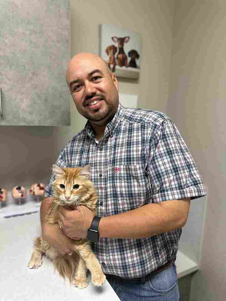 Image from Action Photos album