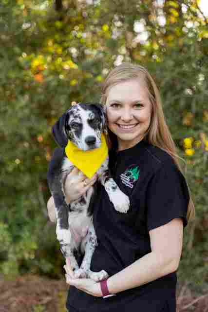 Image from Action Photos album