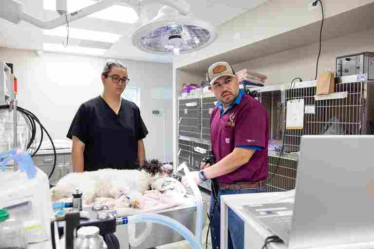 Image from Action Photos album