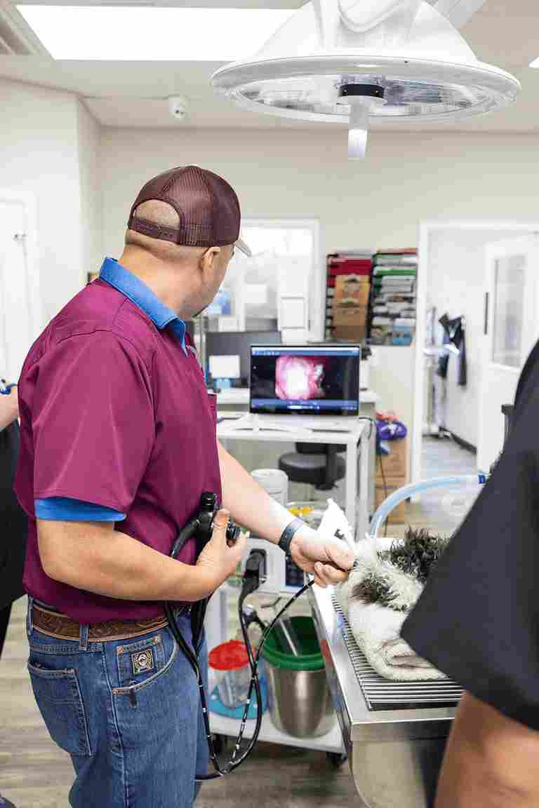 Image from Action Photos album