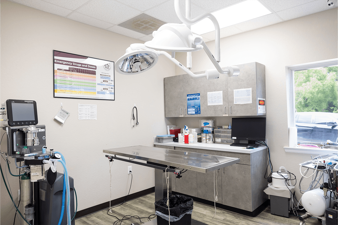 Surgery Room