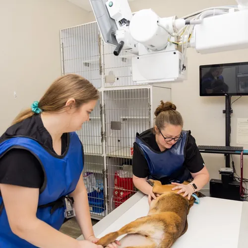 Our X-ray Room